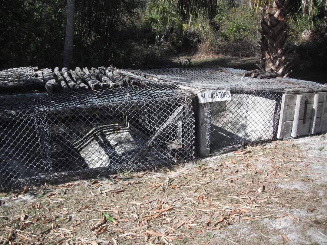 Nelson gator pit