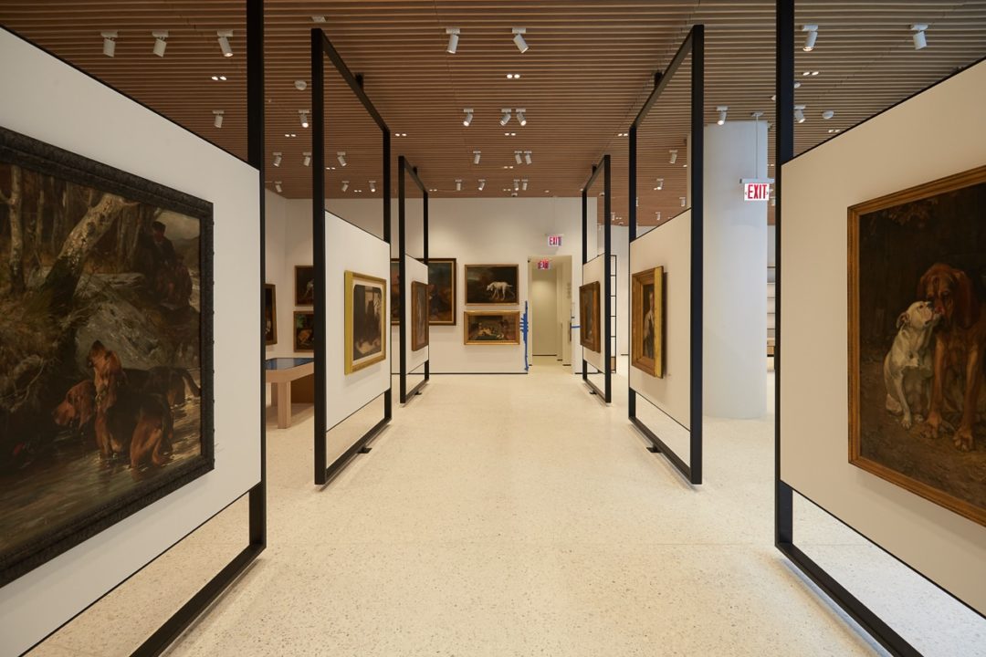 Canine fine art at the AKC Museum of the Dog