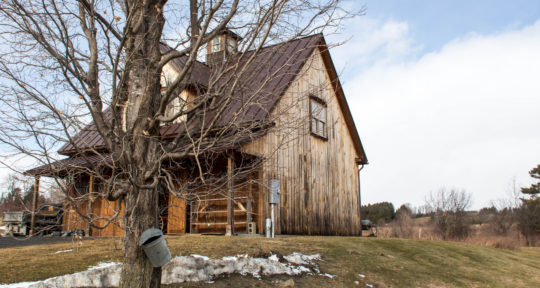 Prepare your palate for the stickiest, sweetest, sappiest guide to maple syrup season in New England