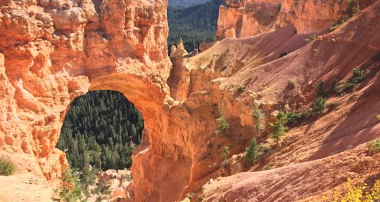 What it means to “Find Your Park” this National Park Week