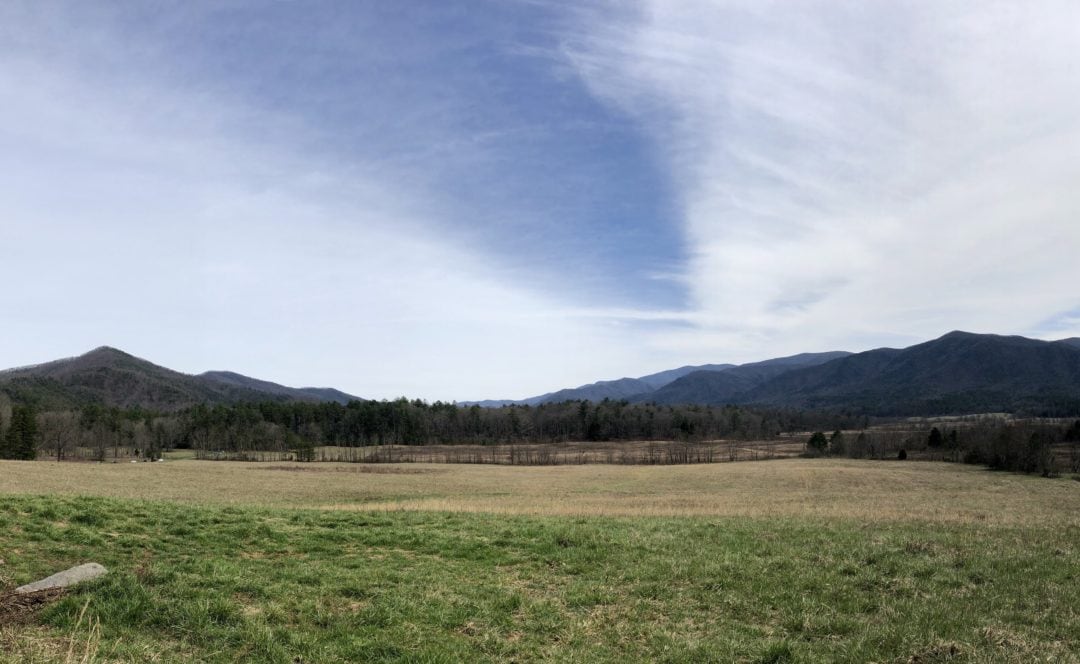Synchronous fireflies can also be found at the back of Cades Cove. 