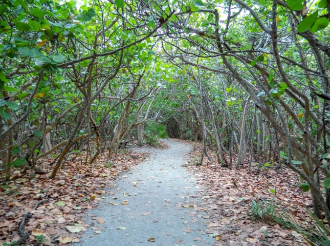 Blowing Rocks Preserve offers hiking in Martin County.