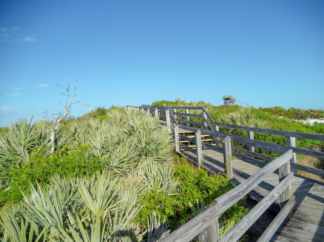 At 86 feet tall, Hobe Mountain is the highest point in Southern Florida.