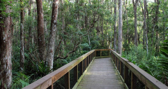 Discover the real Florida on the Ocean to Lake Trail