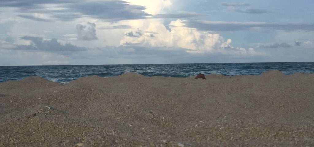 Fletcher Beach. 