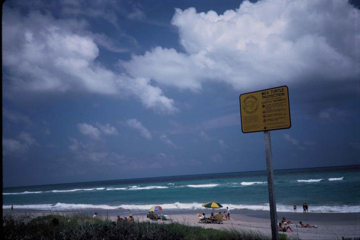 Hobe Sound Beach