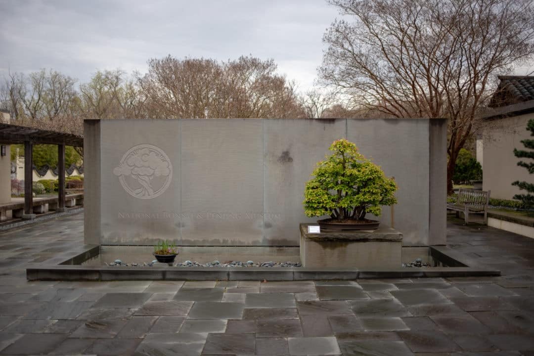 Entrance to the National Bonsai and Penjing Museum.