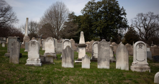 Walk your dog—or do goat yoga—among the graves of gay veterans and Congressmen