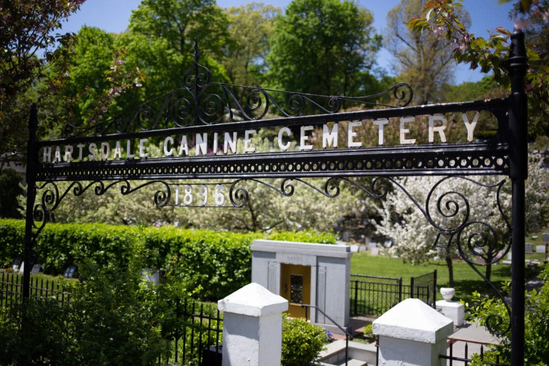 wrought iron gates that spell out "hartsdale canine cemetery 1896"