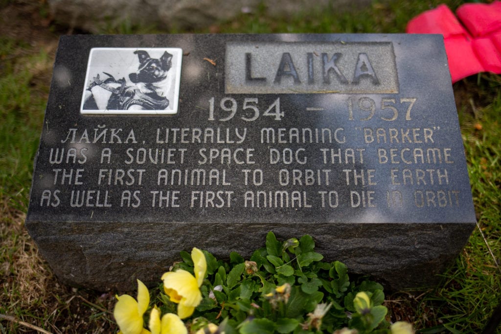 dog tombstone