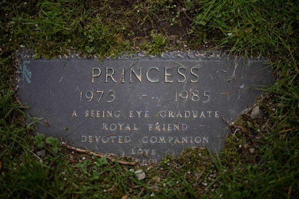 headstone for a seeing eye dog