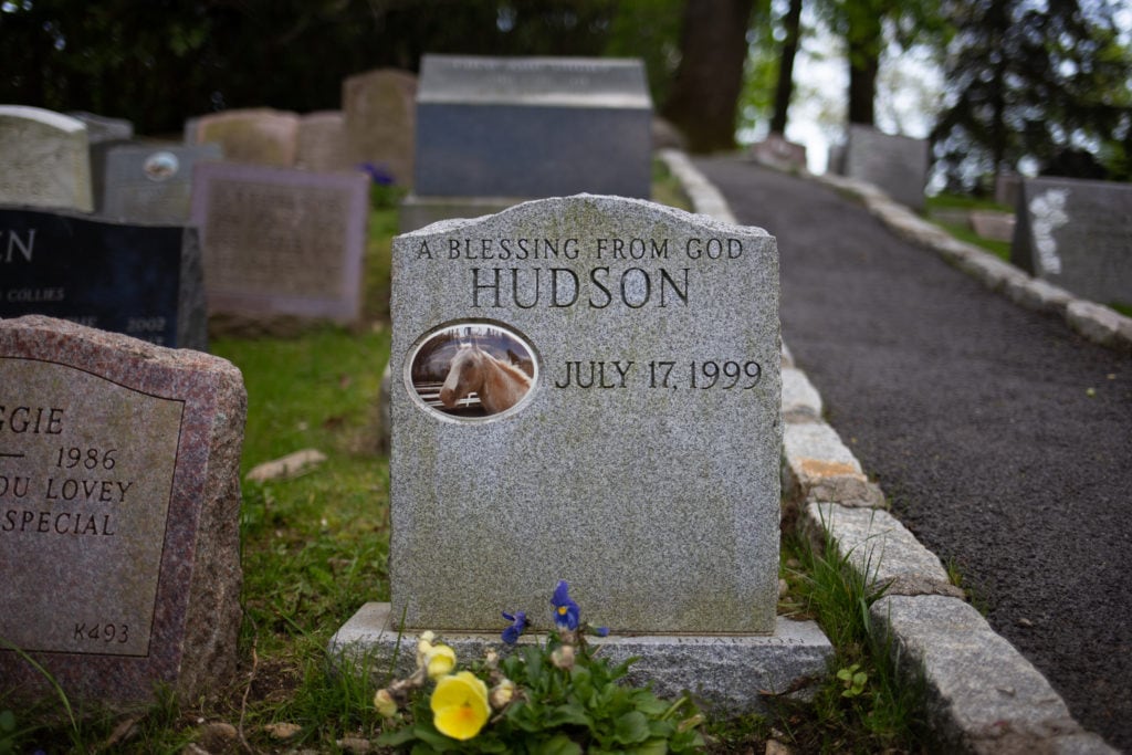 a horse's tombstone