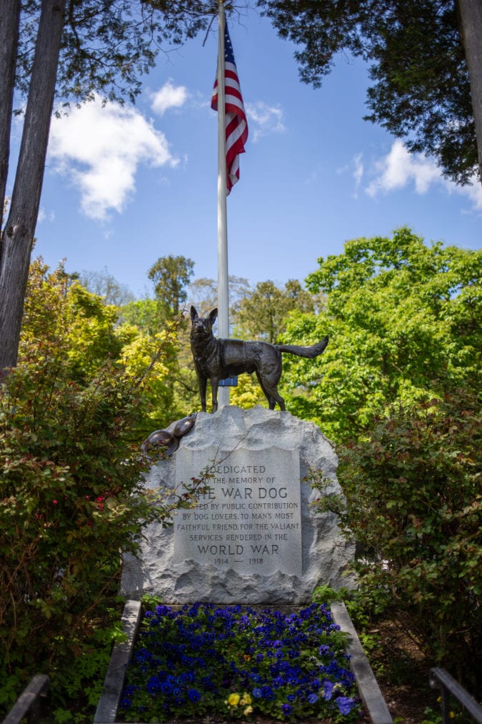 war dog memorial