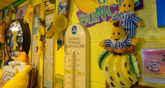 Opening a Banana Museum next to a toxic desert lake makes absolutely no sense—but that’s part of its a-peel