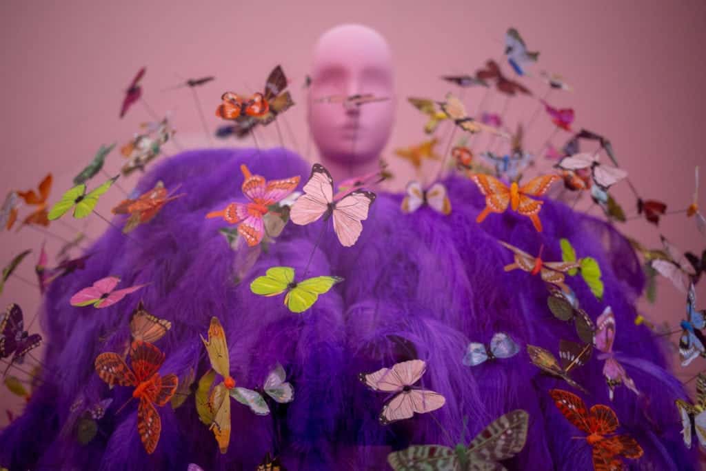 butterflies on a dress