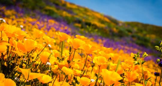 The dos and don’ts for sightseeing like a pro