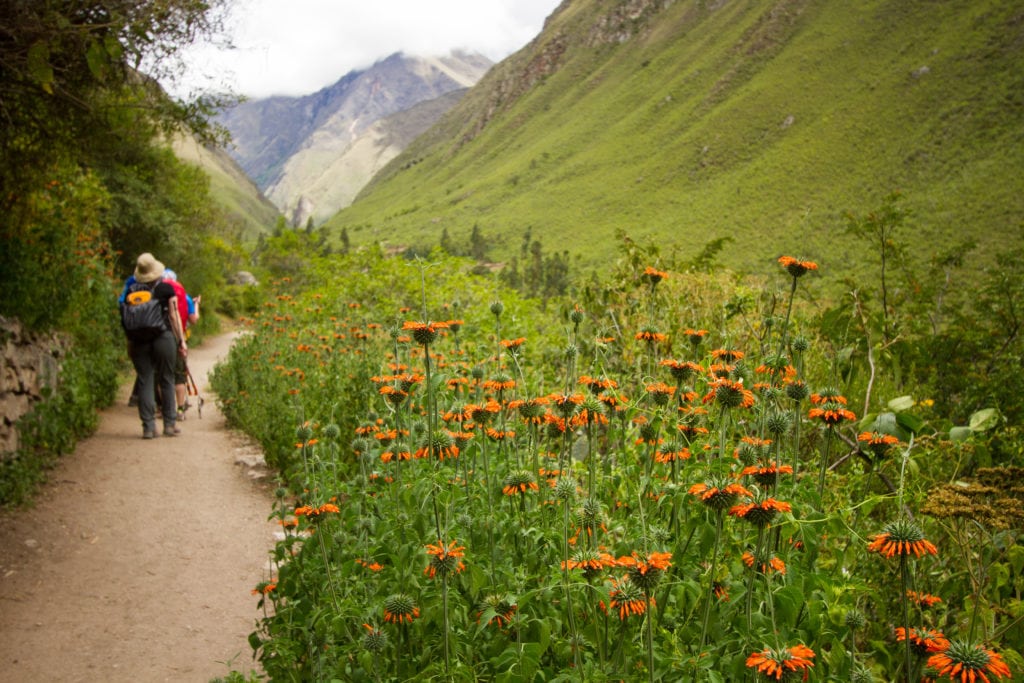 You can still experience nature's beauty from the safety of the trail
