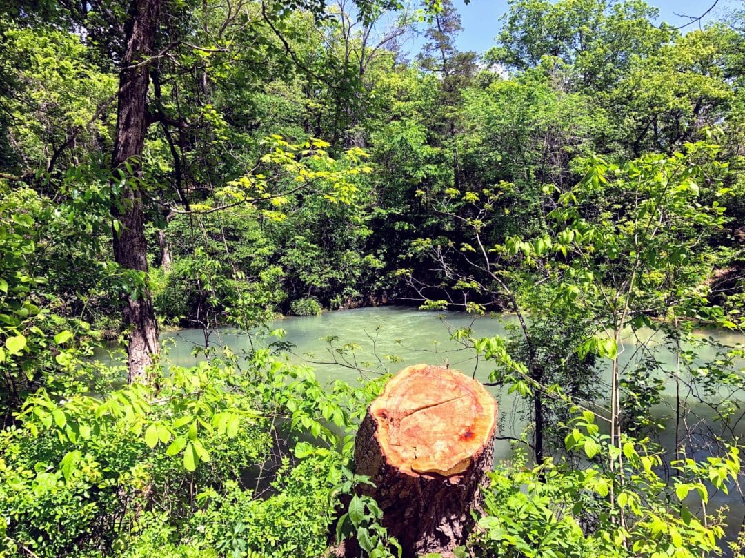 The rivers are ideal for kayaking, canoeing, and tubing. 