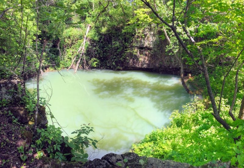 Round Spring's water is murky after a rain storm. 