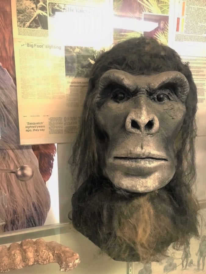 A bust of Bigfoot