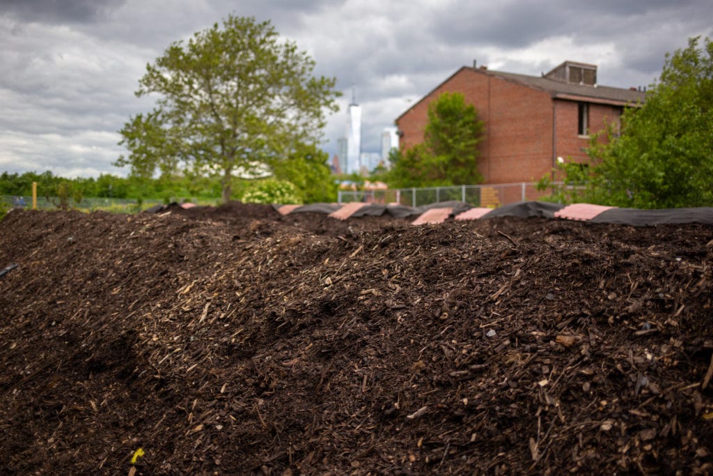 compost pile