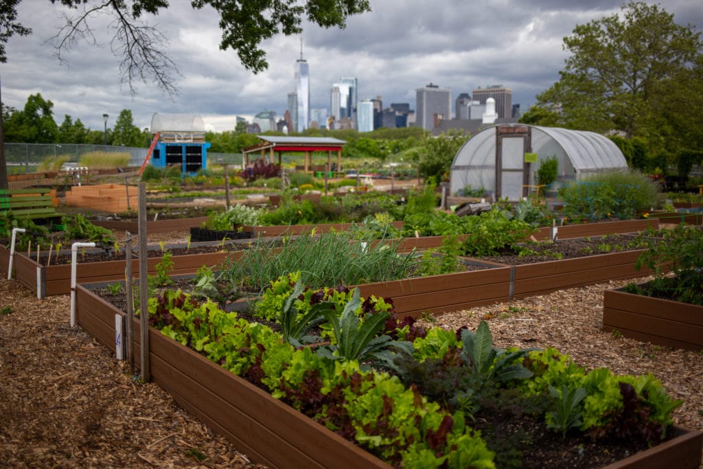 skyline and farm