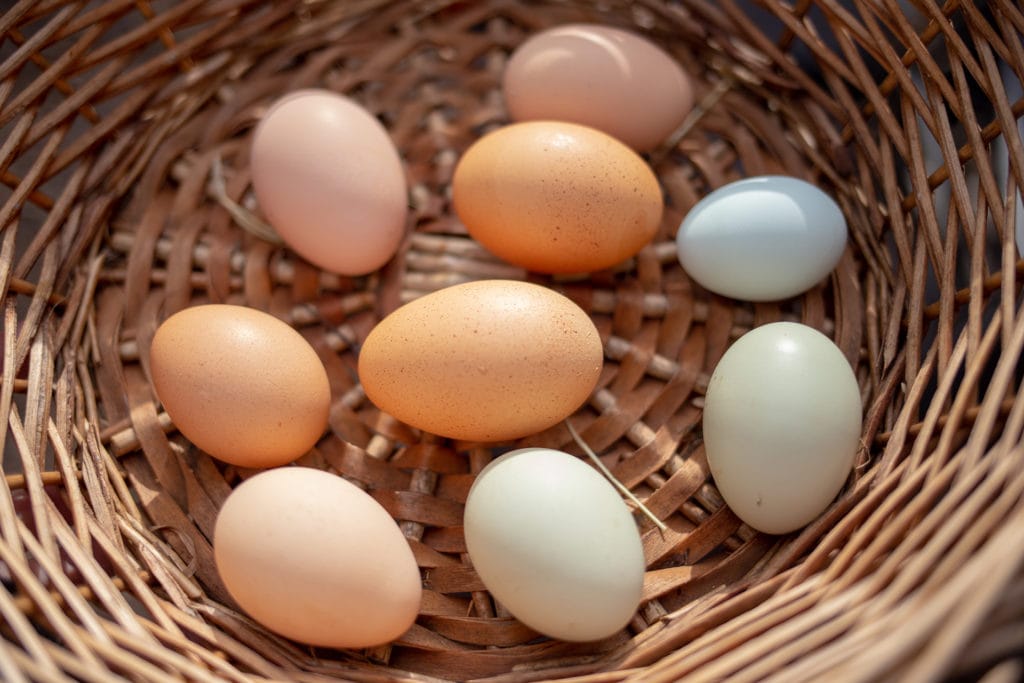 eggs in a basket