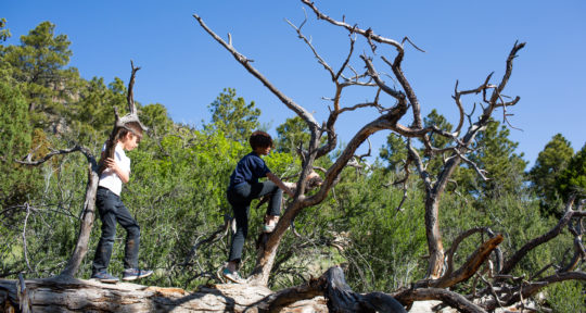 What’s it like to take four boys camping? An Arizona mom spills her secrets for a campout success