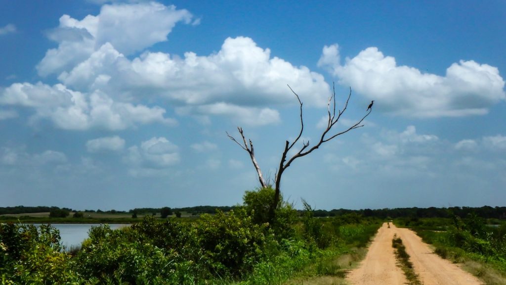 A narrow dirt road under a big blue sky.