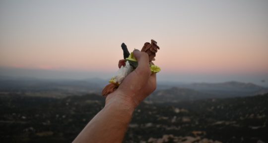 Pick Up One, Pick Up America: Cleaning up public land, one piece of trash at a time