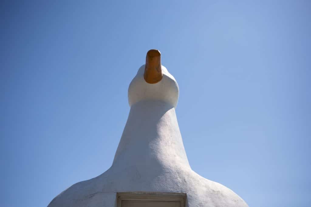 big duck