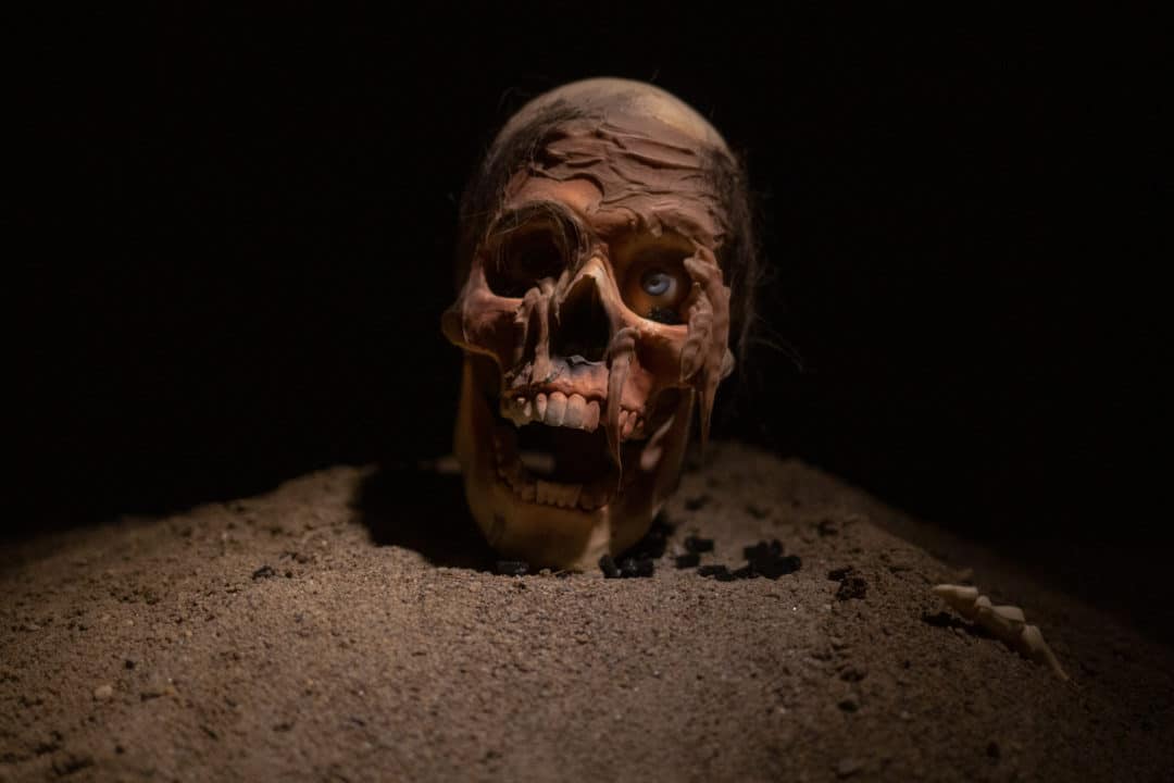 skeleton head house of frankenstein