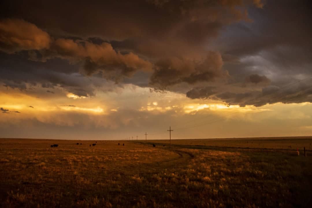 a supercell in the sky over fields of grass and cows