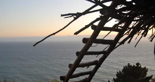 Perched high above the Pacific Ocean, the Human Nest offers visitors comfort, safety, and a sense of home