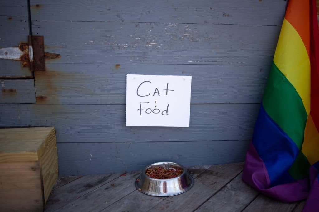 cat food