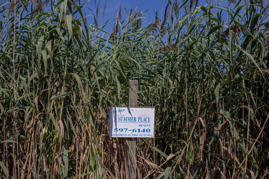 realty sign