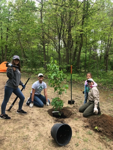 One of the first "happy little trees" planted in Warren State Dunes.