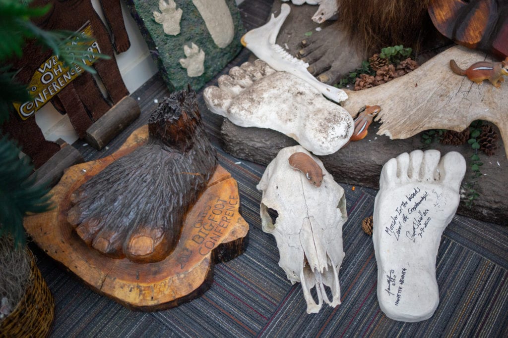 casts of bigfoot tracks