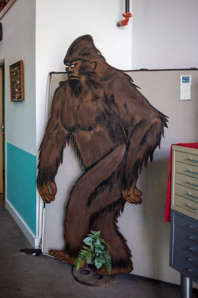 bigfoot inside the cryptozoology museum