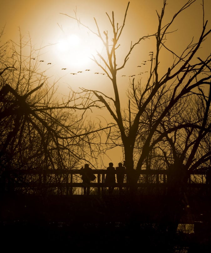 Crane watching on the hike bike bridge at Ft Kearney State Park