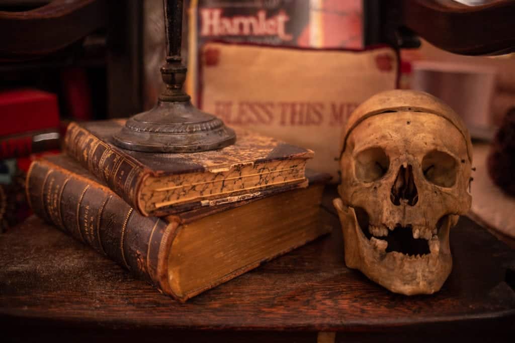 A human skull.