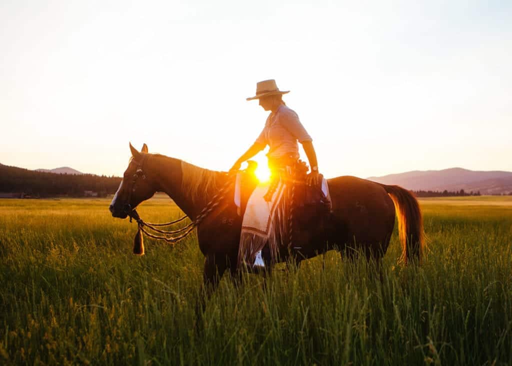 Jackie Kecskes gives horse-whispering lessons.