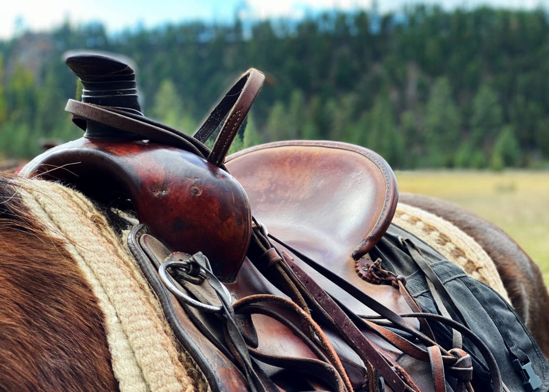 Western saddle.