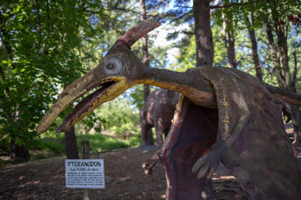 A pteranodon.