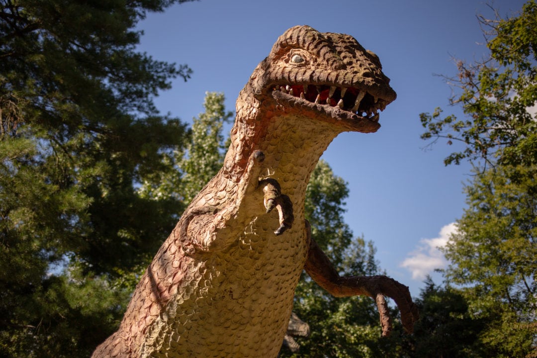 A T. Rex.