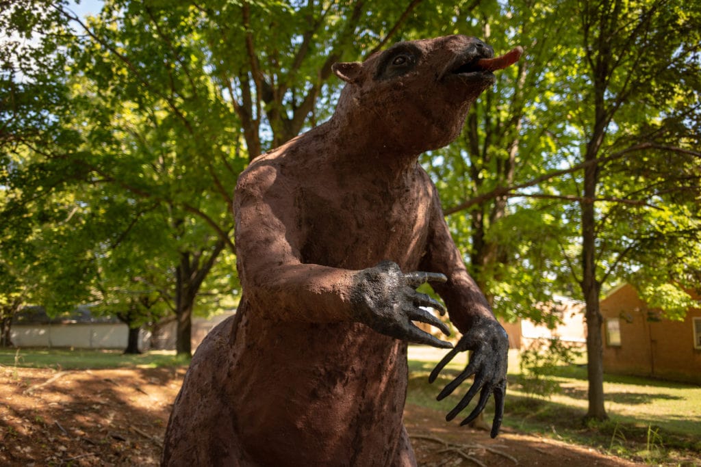 A mylodon, an extinct genus of ground sloth that lived in South America.