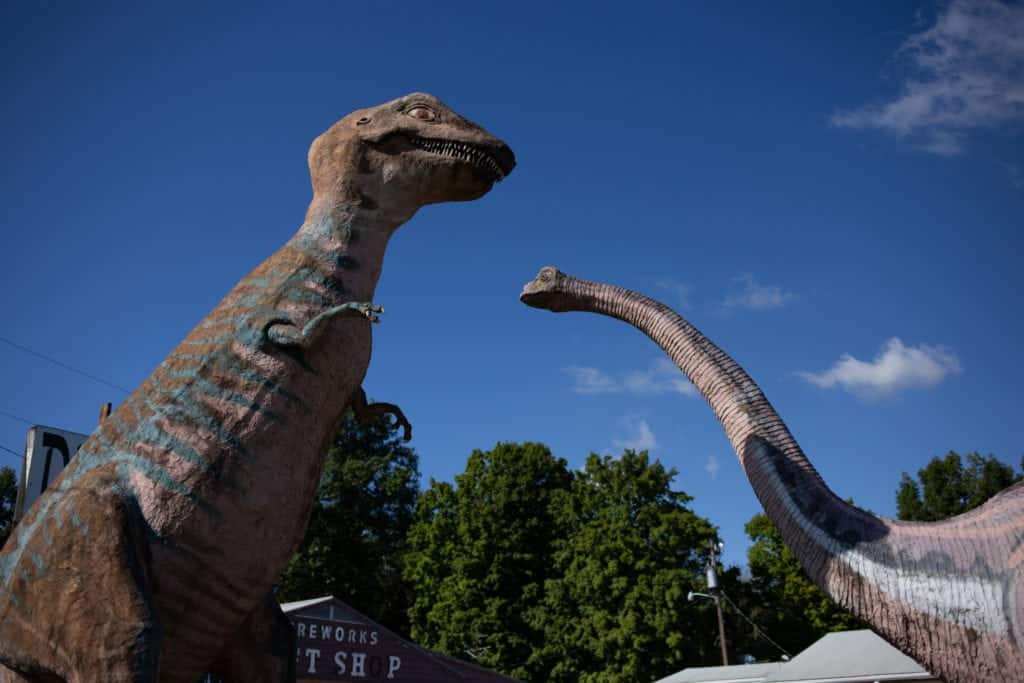 Dinosaurs welcome guests to Dinosaur Land.