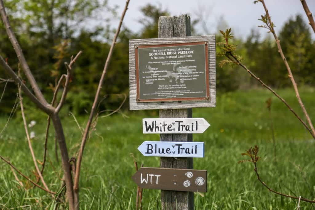 Trail markers