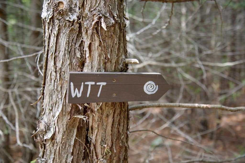 Walking Through Time trail marker.