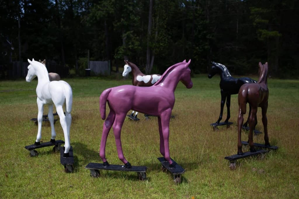 Ponies ready for their close-up.